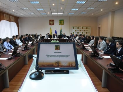 Активисты Общественного Молодежного совета обсудили с депутатами городской Думы предложения по законотворческим инициативам