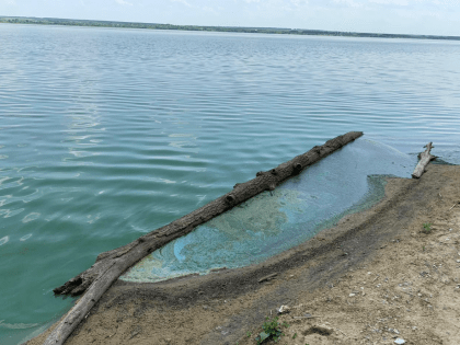 Сурское море по колено. Главное водохранилище Пензенской области приведут в порядок?