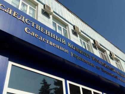 В Пензенской области проходит проверка по факту смерти двух пенсионеров при пожаре