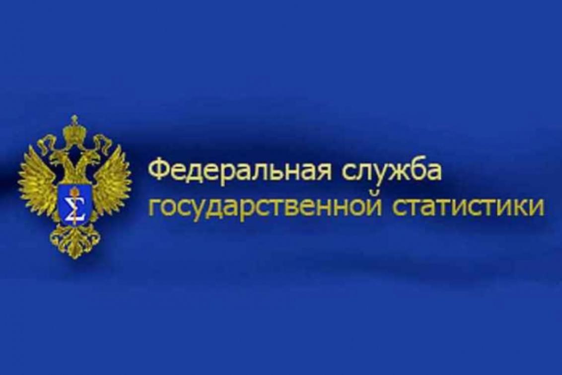 Сайт федеральной службы статистики рф