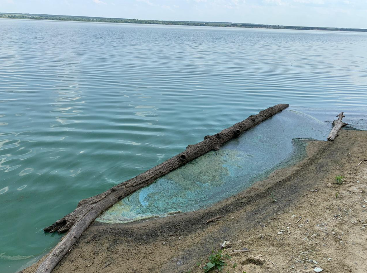 Глубины сурского водохранилища пенза. Сурское море Пенза. Сурское водохранилище Пензенская область. Пензенское водохранилище.