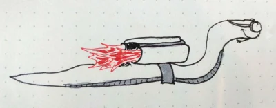 Python Warts and All