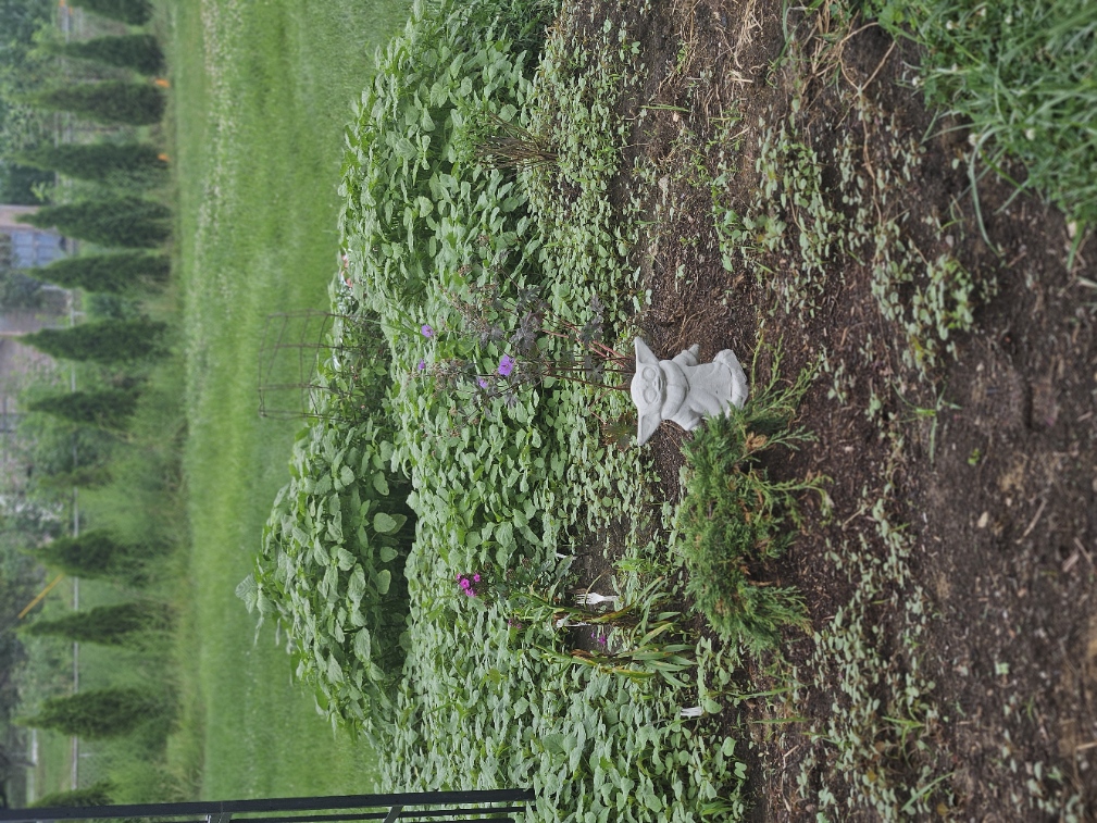 Yoda statue