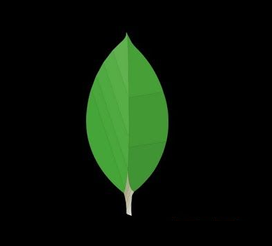 MongoDB