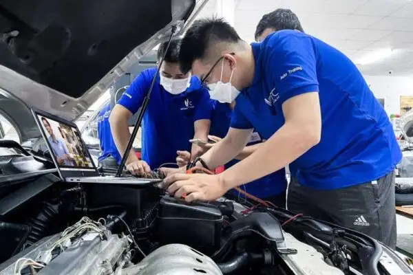 Ưu và nhược điểm của việc học đại học so với làm bằng đại học