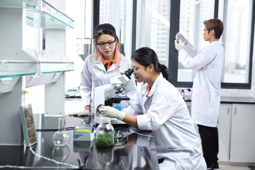 Tại sao phải học đại học? Những lý do khiến bạn không thể bỏ qua