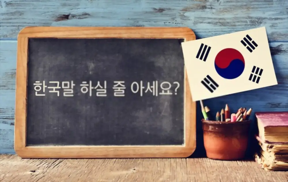 Phiên dịch tiếng Hàn cần bằng đại học không? Thực trạng và cơ hội việc làm