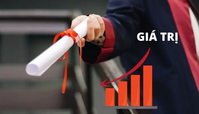 Bằng Đại Học Giả Có Dễ Bị Phát Hiện Không? - Dịch Vụ Làm Bằng VIP