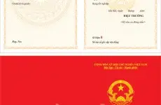 Tìm hiểu chi tiết về phôi bằng đại học Quy định, quản lý và những vấn đề liên quan