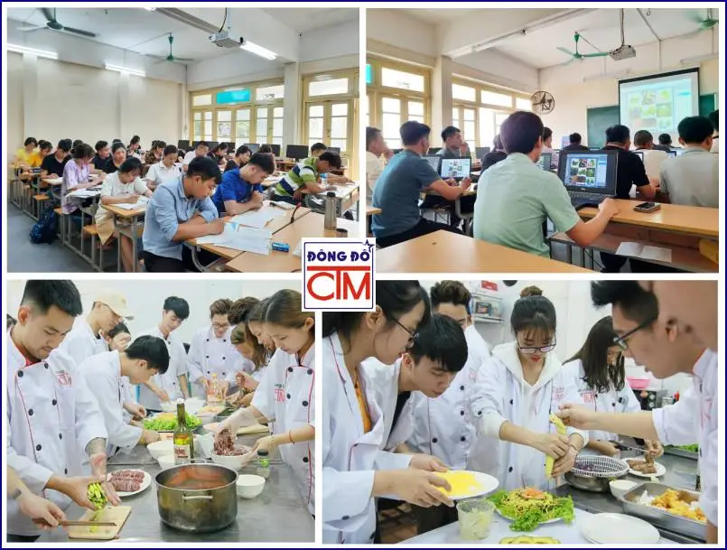Chương trình 9+ là gì? Giải đáp toàn bộ về chương trình đào tạo hệ 9+