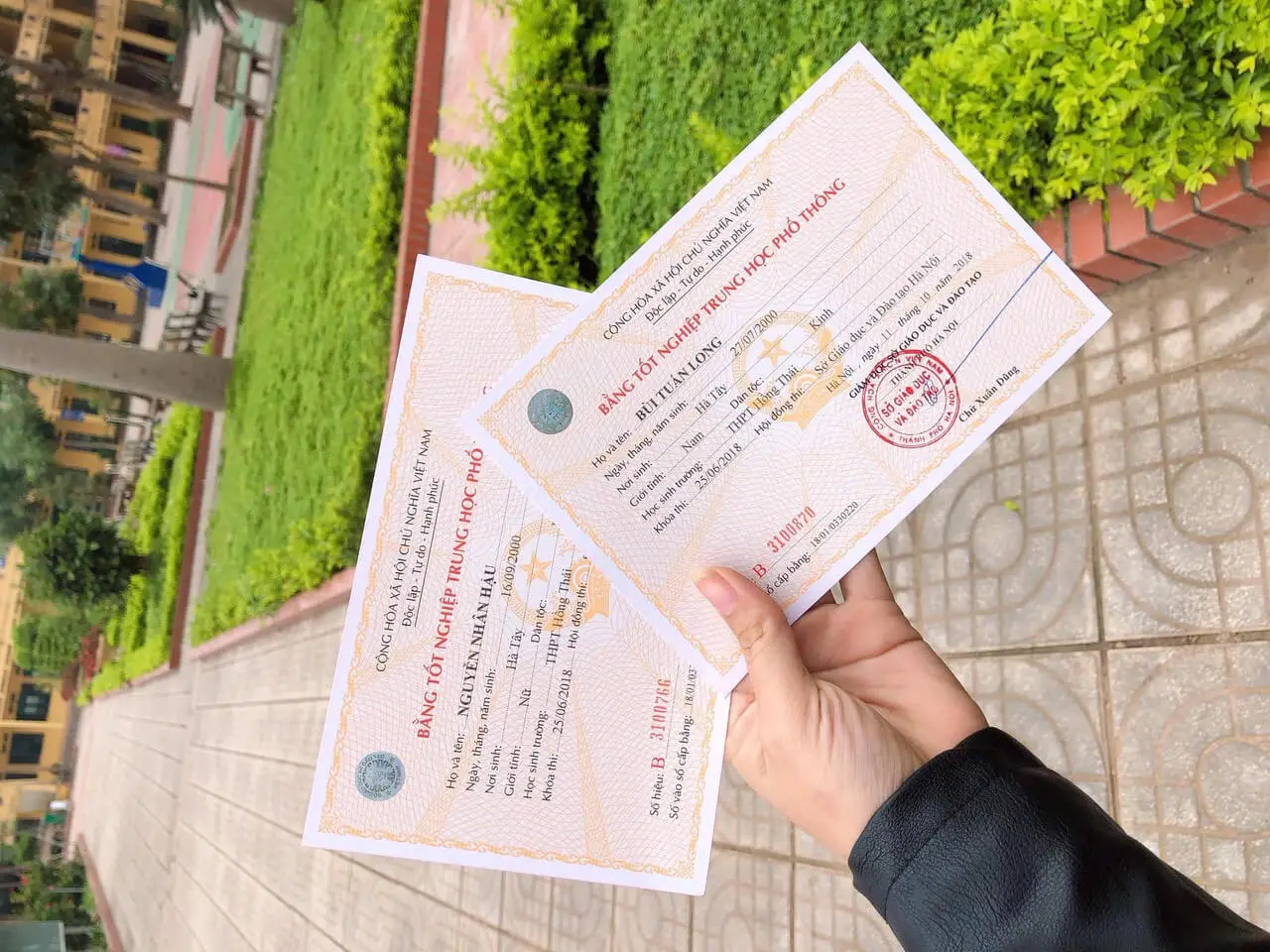 Mất bằng tốt nghiệp cấp 3 - Những điều cần biết cách xử lý