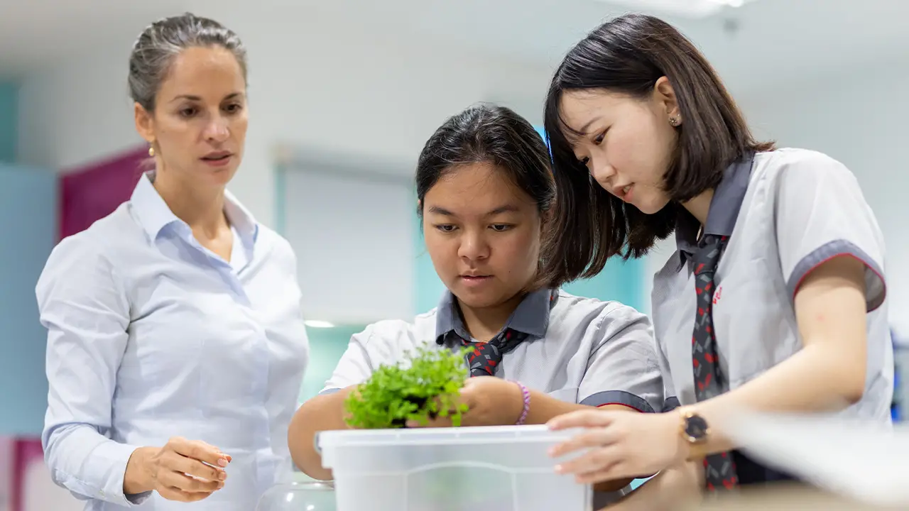 Học Bổ Túc có tương lai không? Cân Nhắc Ưu, Nhược Điểm Trước Khi Quyết Định