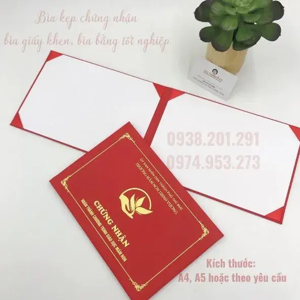 Photoshop Bằng Tốt Nghiệp - Bí Quyết Tạo Nên Bằng Cấp Hoàn Hảo