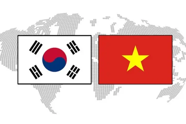 Phiên dịch tiếng Hàn có cần bằng Đại học?