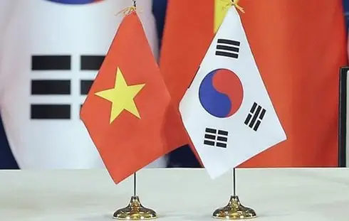 Phiên dịch tiếng Hàn có cần bằng Đại học?
