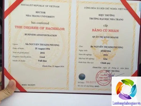 Mua Bằng Giả | Làm Bằng VIP - Uy Tín, Chất Lượng, Giải Pháp Nâng Cao Trình Độ