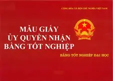 Khám phá mẫu bằng tốt nghiệp đại học