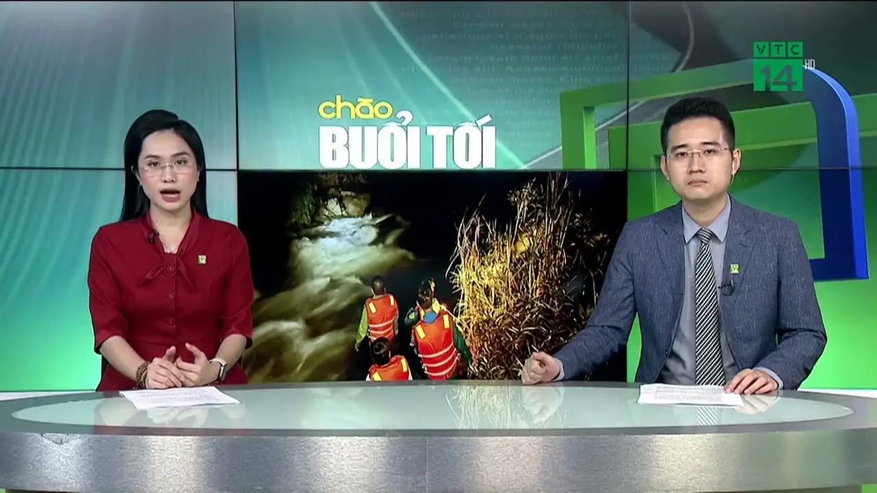 Điều Tra Thích Chân Quang Lịch Sử, Hoạt Động Và Những Bàn Cãi