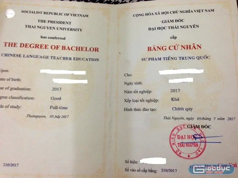 Mẫu đơn xin cấp lại bằng tốt nghiệp THPT Hướng dẫn đầy đủ và chi tiết