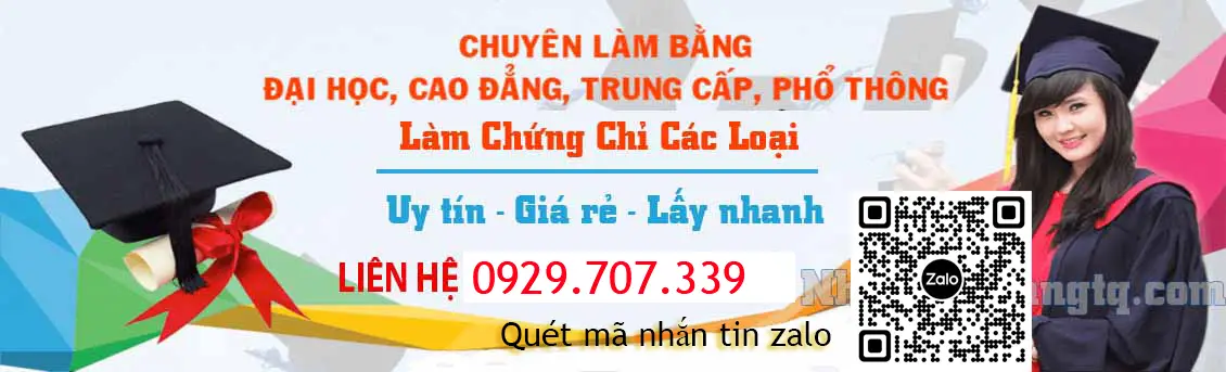 Mẫu đơn xin cấp lại bằng tốt nghiệp THPT Hướng dẫn đầy đủ và chi tiết