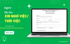 Đơn Xin Cấp Lại Bảng Điểm Hướng Dẫn Chi Tiết Và Lưu Ý Cần Biết
