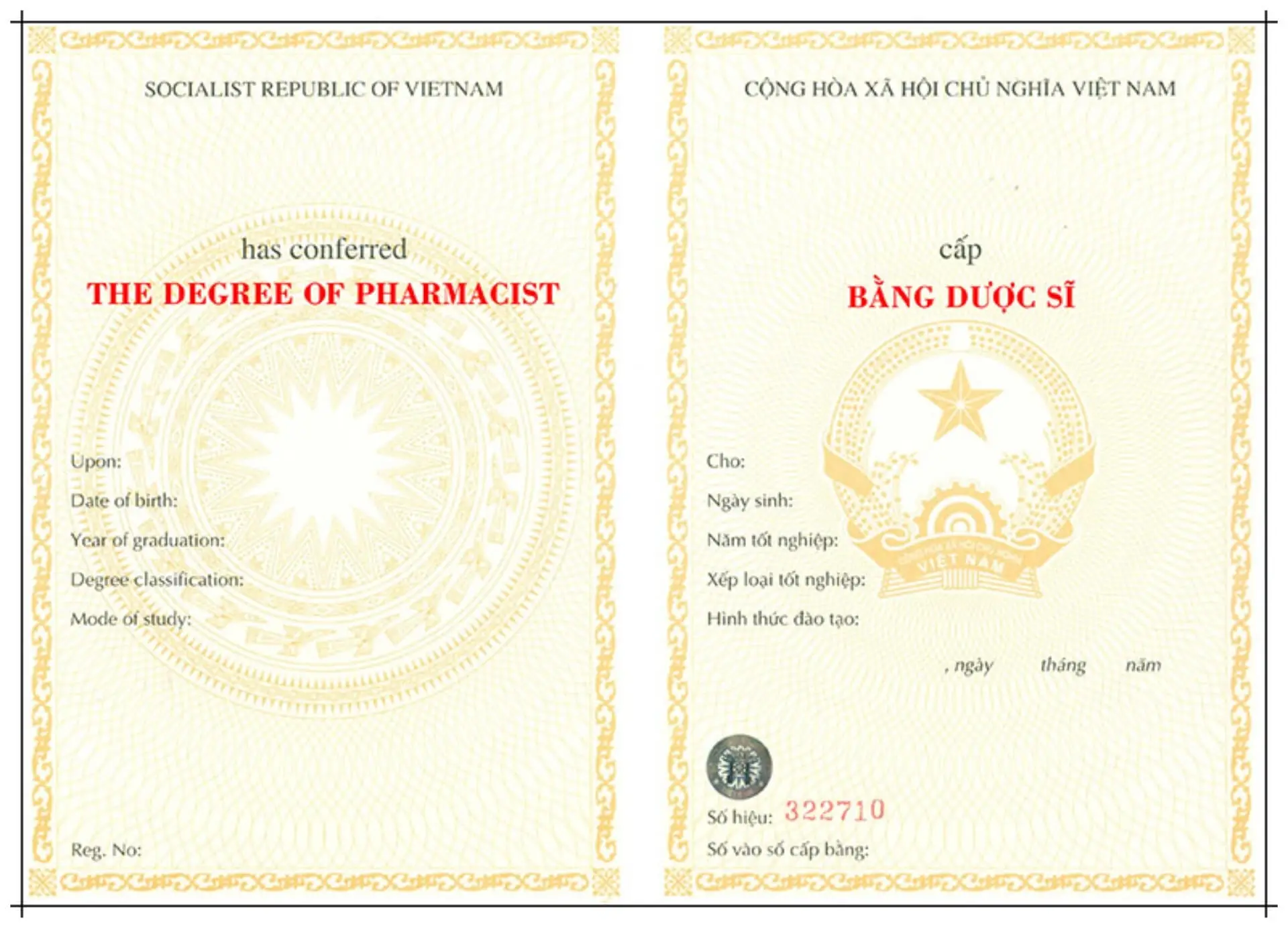 Bằng Trung Cấp Dược Có Bị Bỏ Không? - Thực trạng và cơ hội nghề nghiệp