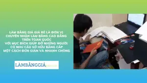 Mẫu Bằng Cao Đẳng Thông Tin Chi Tiết  Hướng Dẫn Kiểm Tra