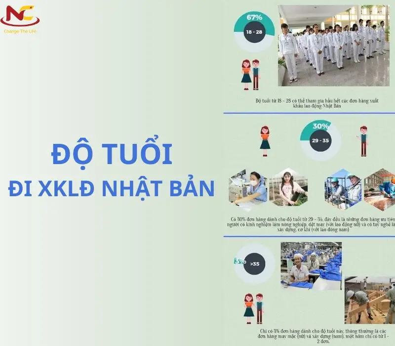 Không có bằng cấp 3 có đi XKLĐ Nhật Bản được không