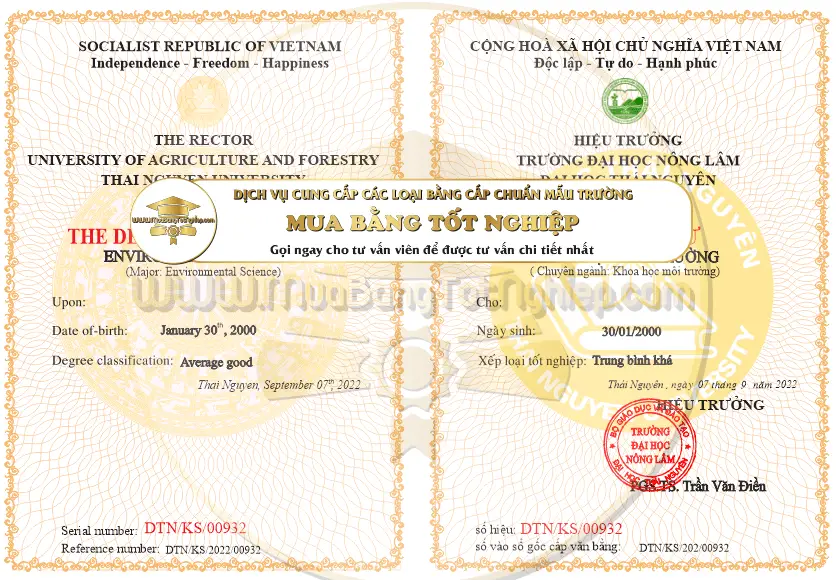 Mẫu Bằng Tốt Nghiệp Đại Học Cấu Trúc Và Thông Tin Quan Trọng