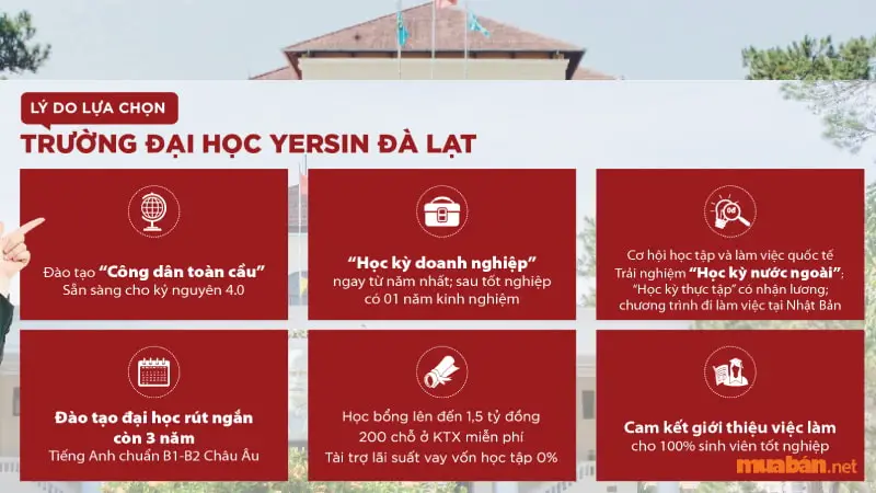 Đại học Yersin Đà Lạt là trường công hay tư