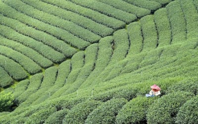 A country you will fall in love with