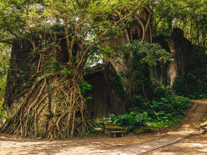 ▴ Day 4: Experience the nostalgic charm of Shengxing Old Railway Station, surrounded by lush greenery and historic structures along the Old Mountain Line