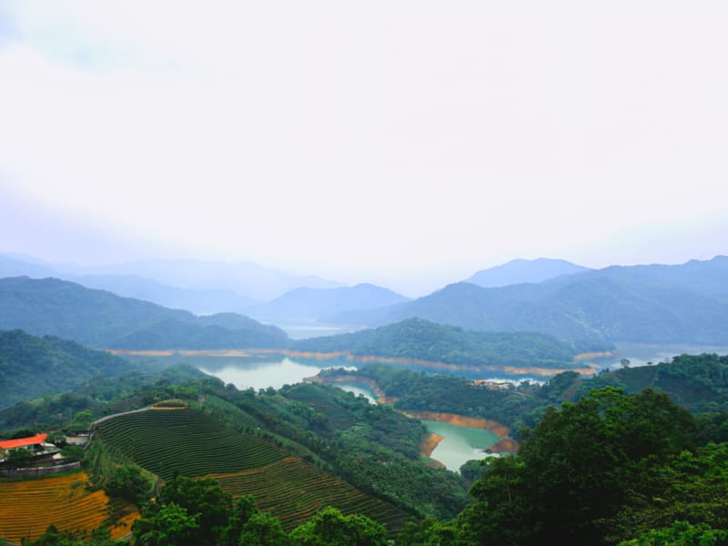 Visit the Bagua Tea Plantation at Thousand Island Lake