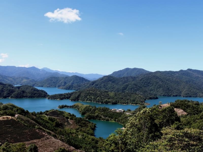 Visit the Bagua Tea Plantation at Thousand Island Lake