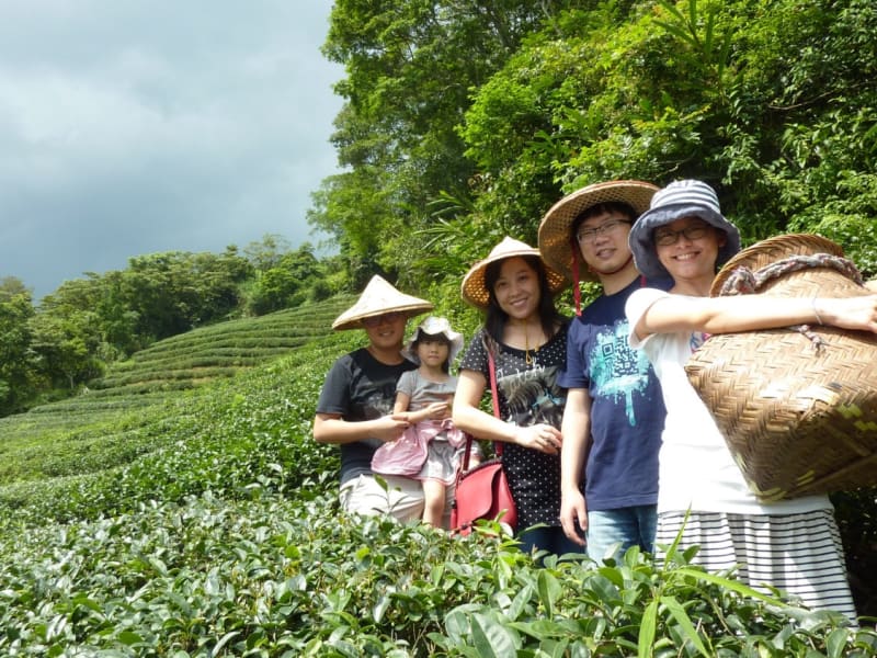 Experience a rare and up-close opportunity to learn about tea cultivation