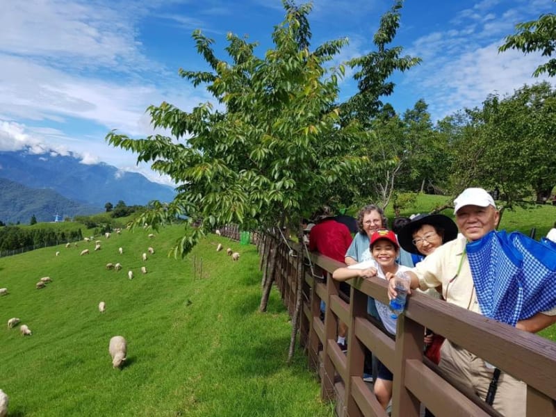 五天的家庭旅遊為您的家人提供所有這些以及更多。