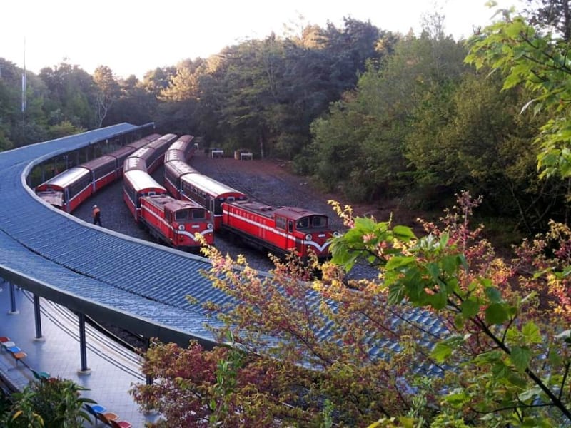 Day 3: Take a ride on the narrow gauge Alishan mountain rail 