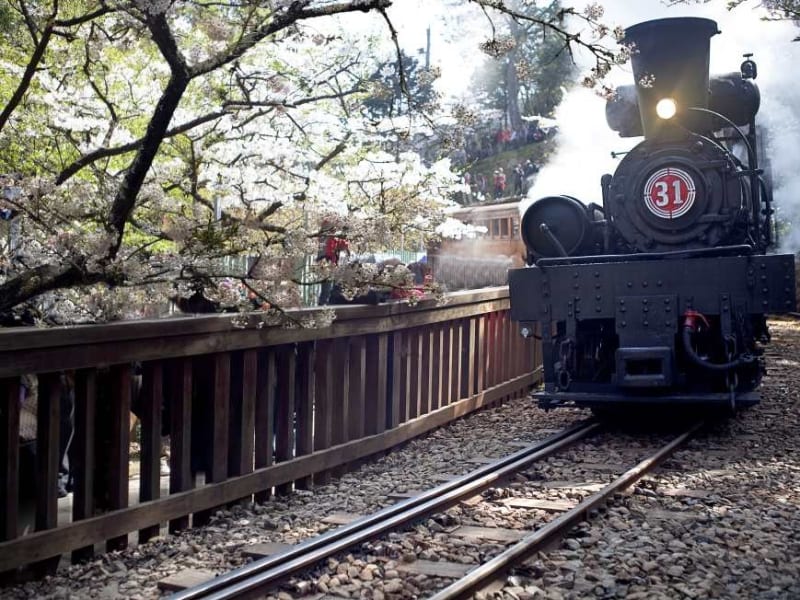 Day 3: Take the Alishan Forest Railway