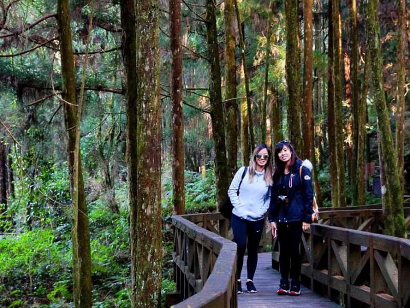 Day 3: Hike among ancient cypress trees and breath in the cool mountain air