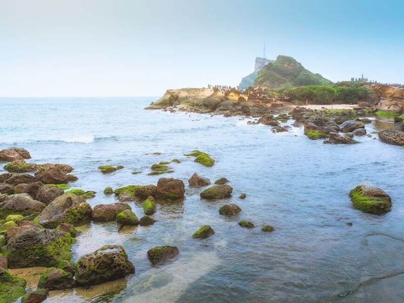 Let us make your brief Taiwan layover a memorable one by taking you on a scenic trip