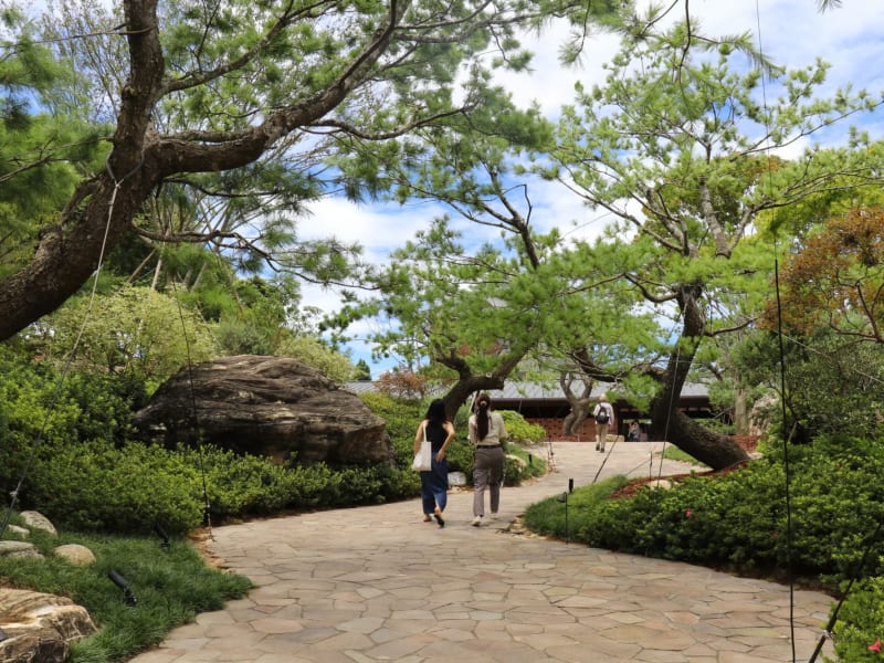 Begin your journey to tranquility at Taiwan's elegant Puer tea retreats - where ancient stone paths lead to moments of pure relaxation and mindful tea ceremonies.