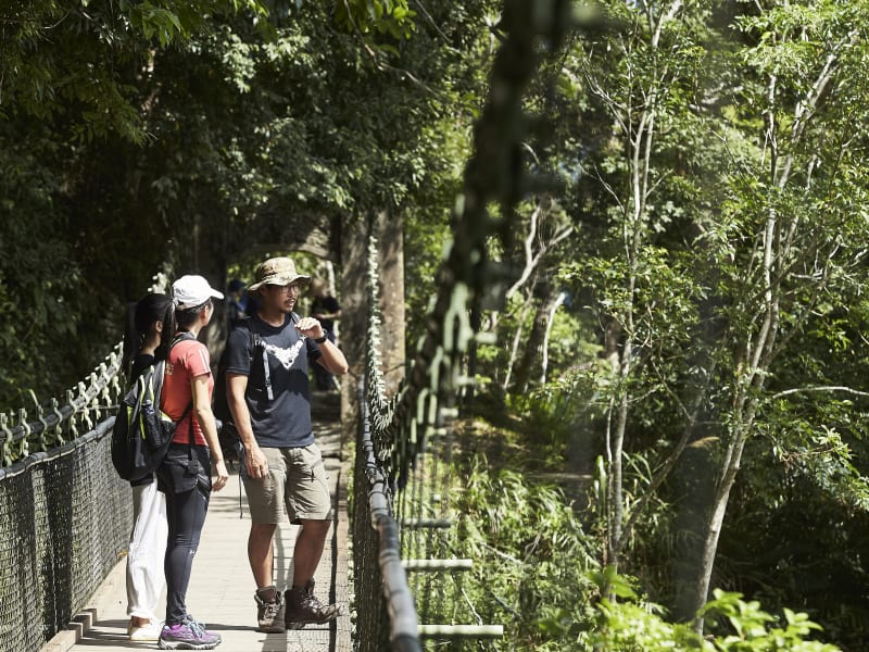 Experience a day trek through the awe-inspiring Jade Mountain National Park