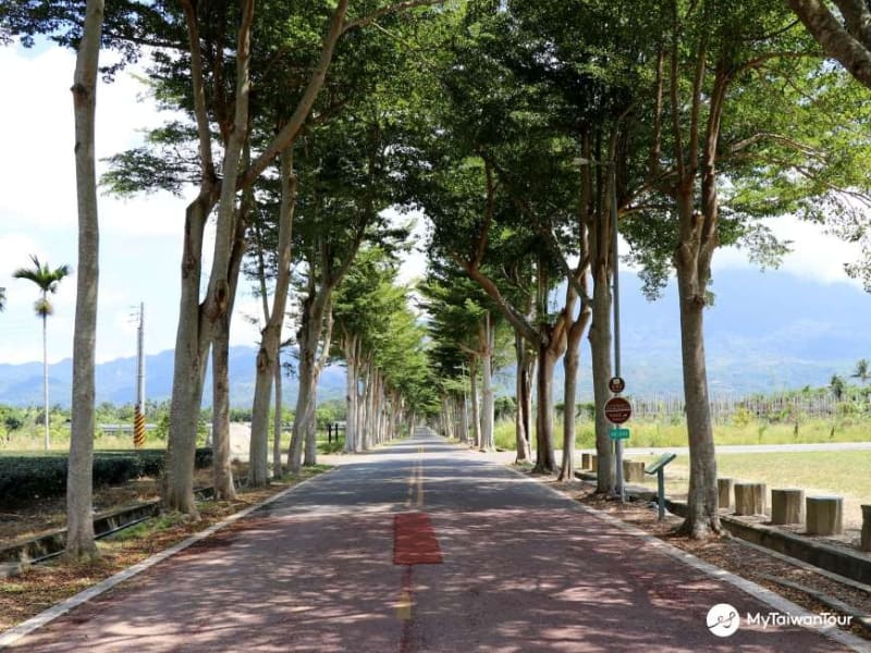 Day 3: Cycle or be driven on a guided tour through Longtien Village and surrounding tea farms.