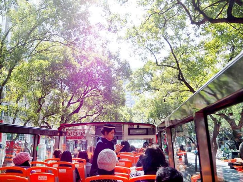 Ride the hop-on-hop-off bus with joy
