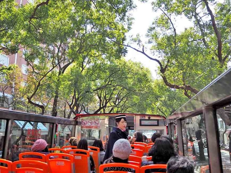 Ride the hop-on-hop-off bus with joy!!