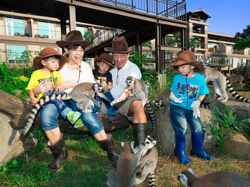 Lemur Experience