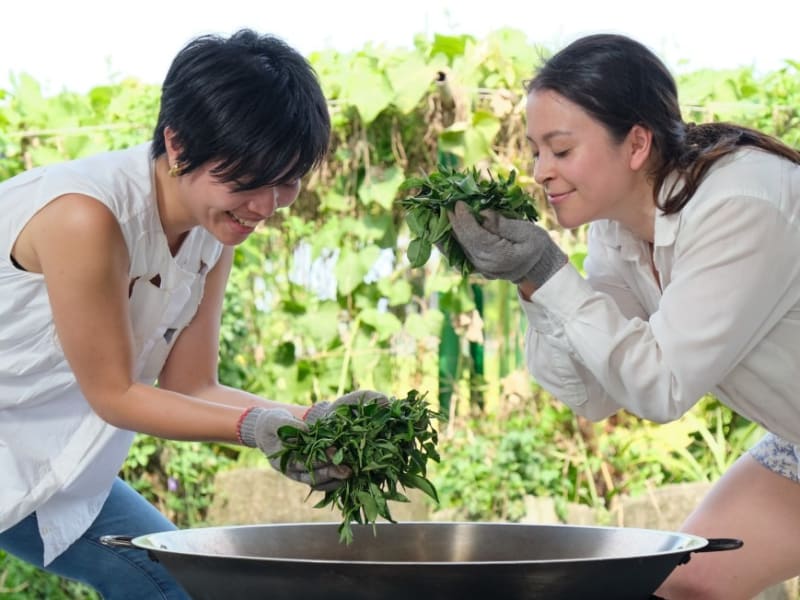 DIY Roasting tea leaves