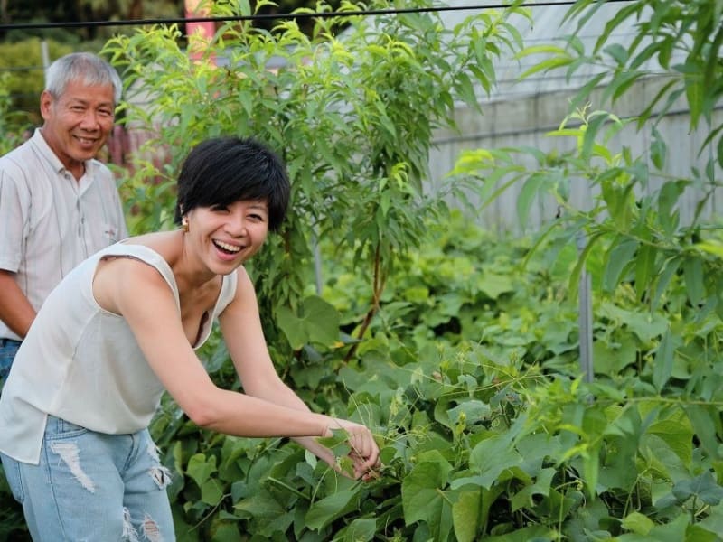 Tour an organic Daxi farm and learn about the community's local agriculture