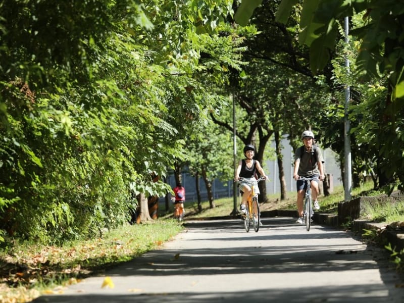 Bike through a well designated, green cycling path