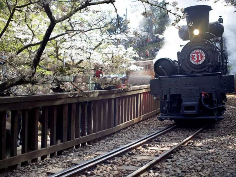 Alishan Train